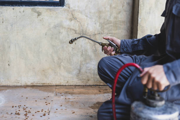 Best Residential Pest Control  in Doniphan, MO